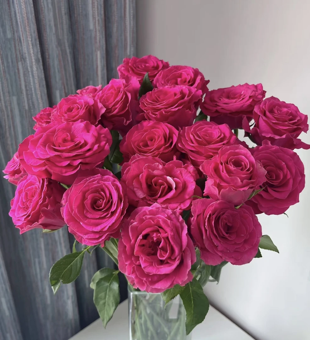 【两单包邮】稀有多头热点玫瑰10只