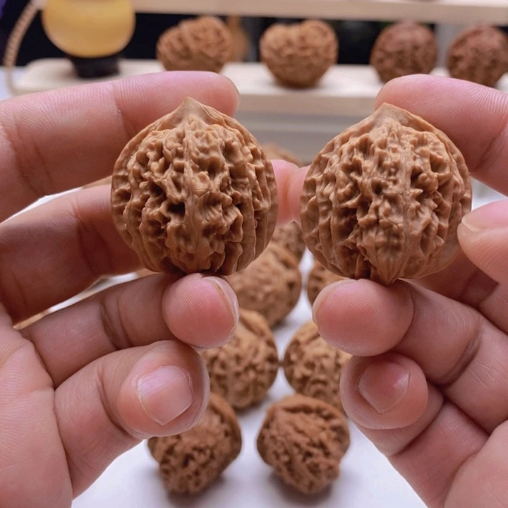 黑山寨红龙小鹰嘴32.6/33.4/33.4