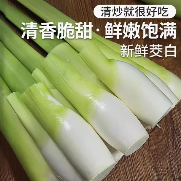 浙江现摘茭白新鲜带壳茭瓜高笋水笋茭笋孕妇好吃酒店食材鲜嫩爽口