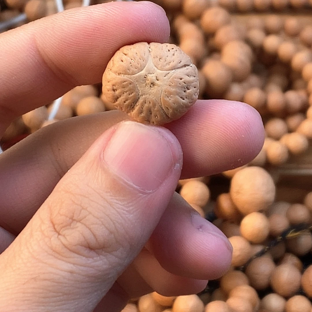 凤眼菩提吊坠7230