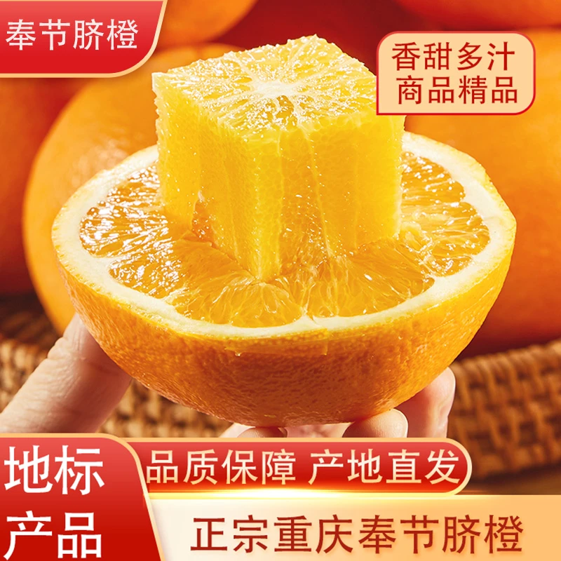 奉节脐橙果园现采现发橙子当季水果孕妇小孩甜润多汁