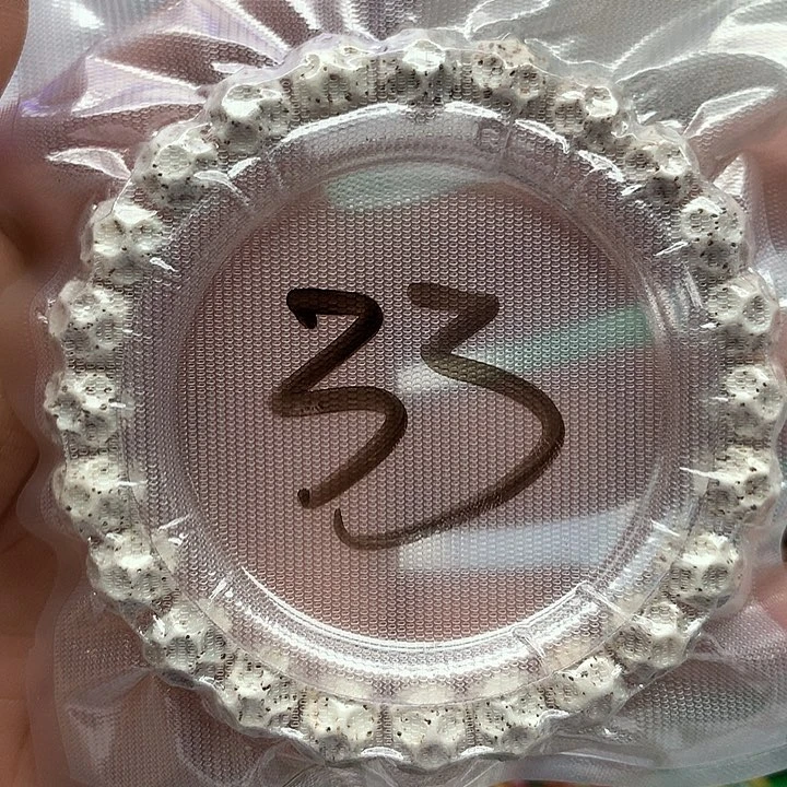 星月菩提把件星月