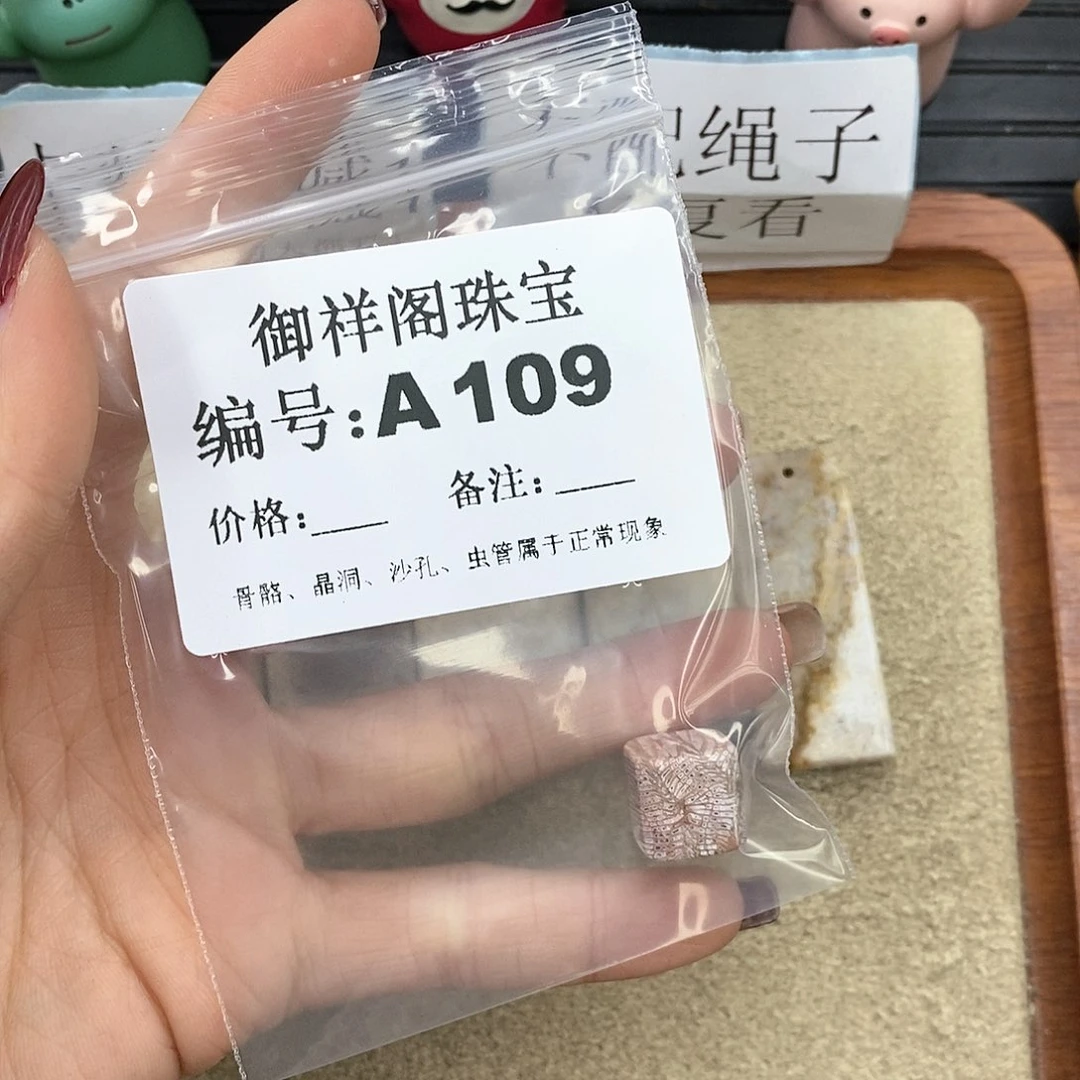 硅化珊瑚（珊瑚玉）A未镶嵌元*