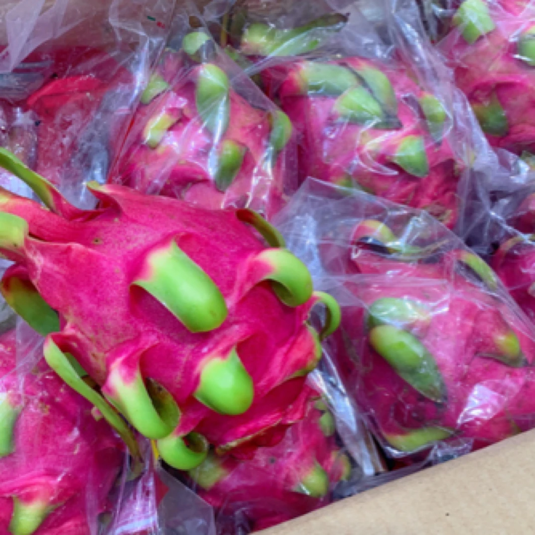 越南红心火龙果*个（g)