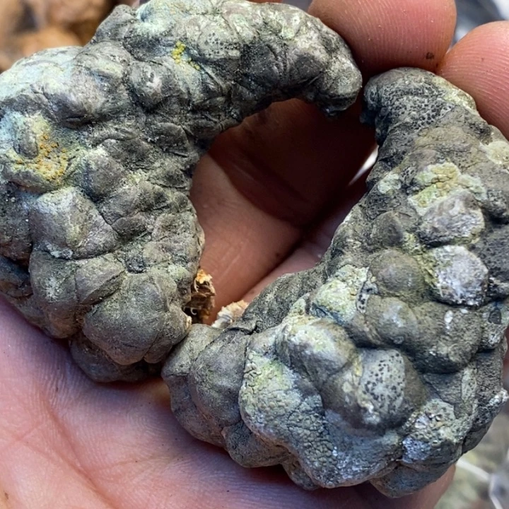 w***v吊坠文玩核桃娜姐83