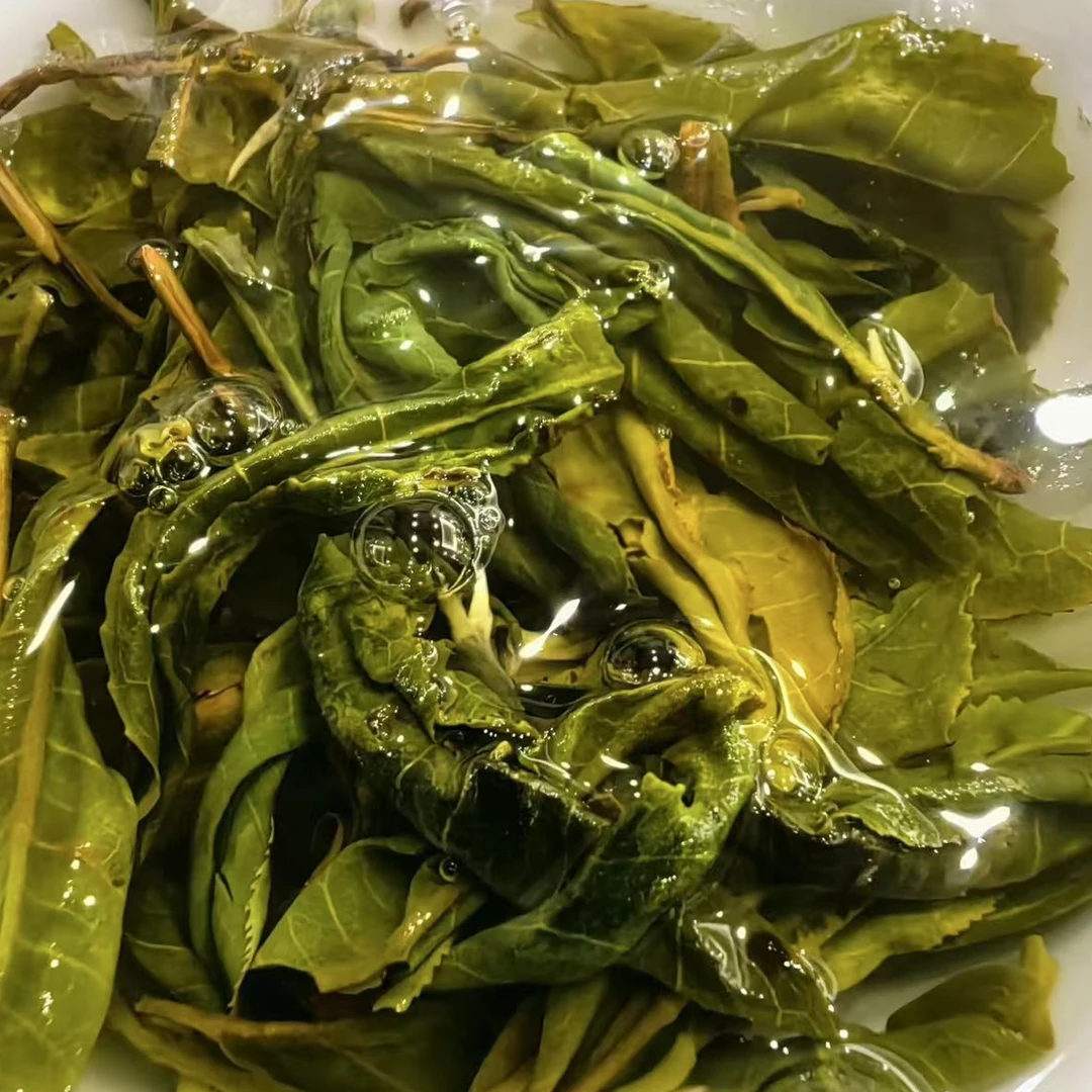 易武薄荷塘高杆 3泡试喝装！普洱生茶！喉韵清凉持久 新人限购5单！