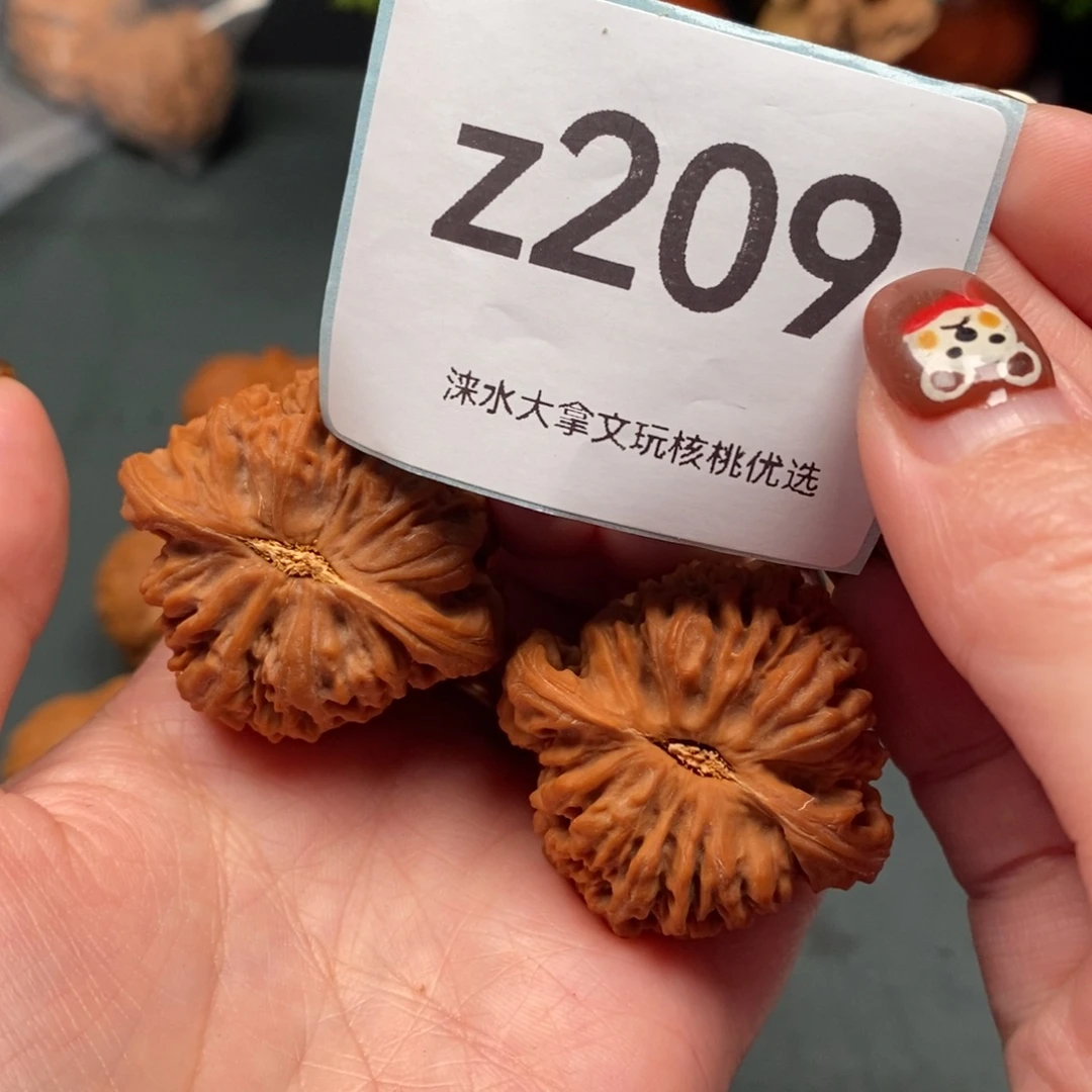 文玩核桃把件260        209