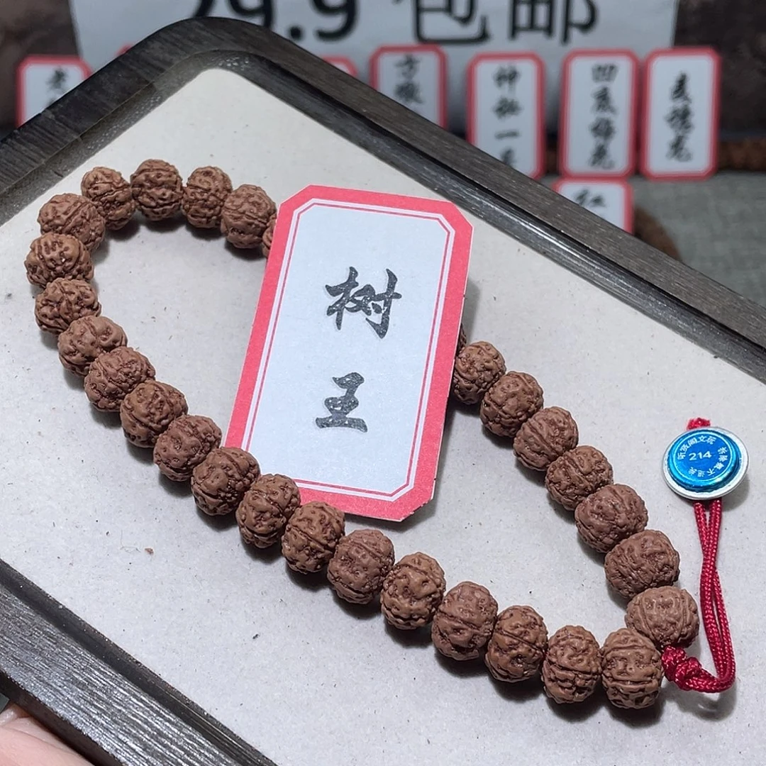手串金刚菩提214树王