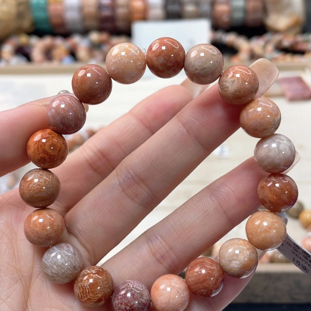 硅化珊瑚（珊瑚玉）手链未镶嵌小***^836