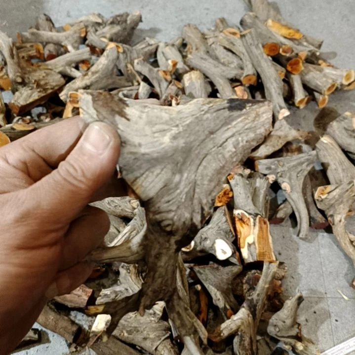 不***九香榧木崖柏随行毛料毛料毛料