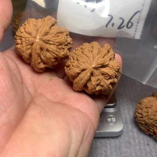 文玩核桃吊坠练手