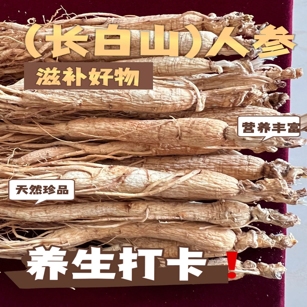 长白山-林下参煲汤泡水福利款长白山林下参人参