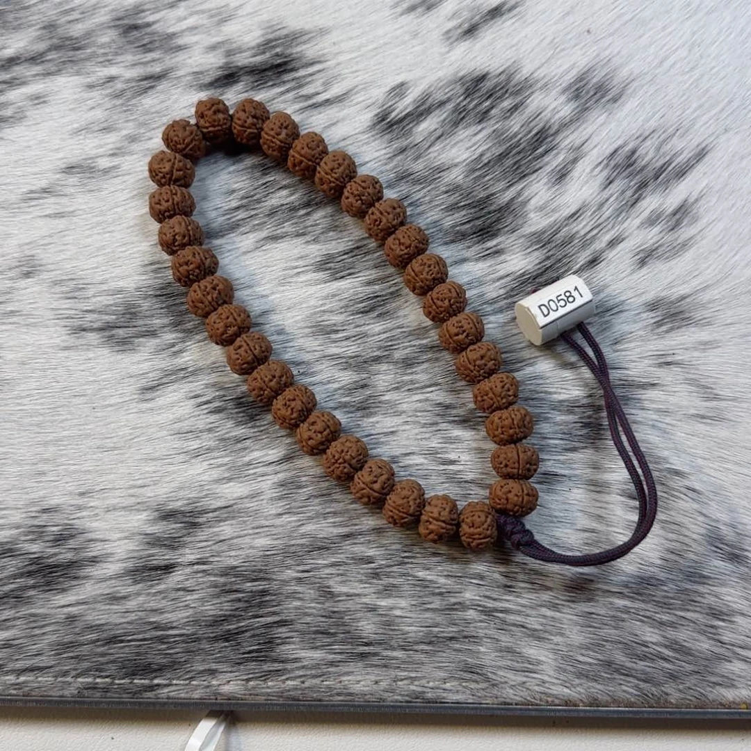 手串金刚菩提老树王