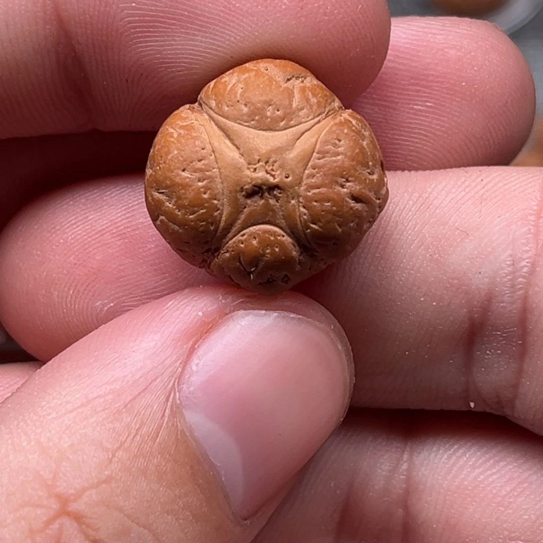 吊坠凤眼菩提18.8全品梅花麒麟福利