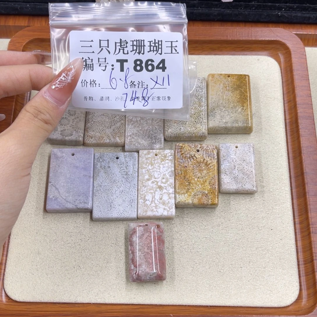 硅化珊瑚（珊瑚玉）h未镶嵌