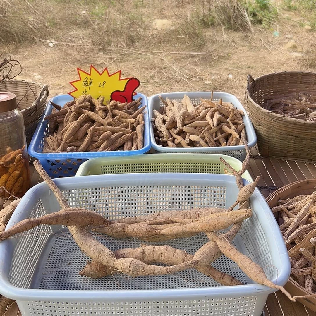 中国大陆黄牛煲汤泡酒