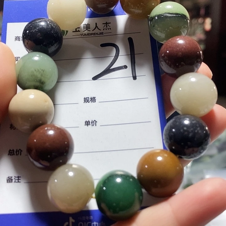 党***振密玉（石英质玉）未镶嵌颈饰