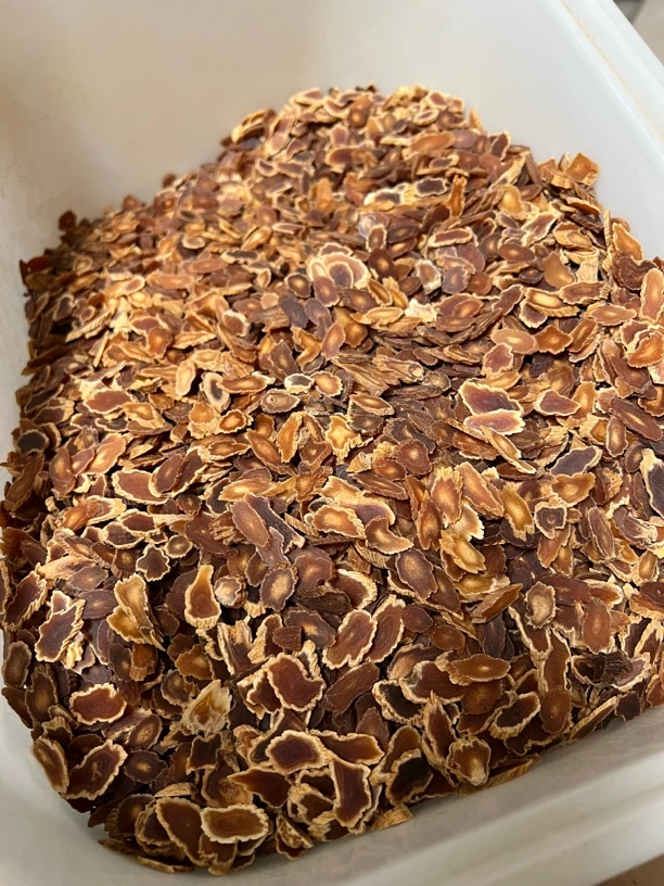 花大姐 红参 高丽参 太极参 大力参 大截切片混合