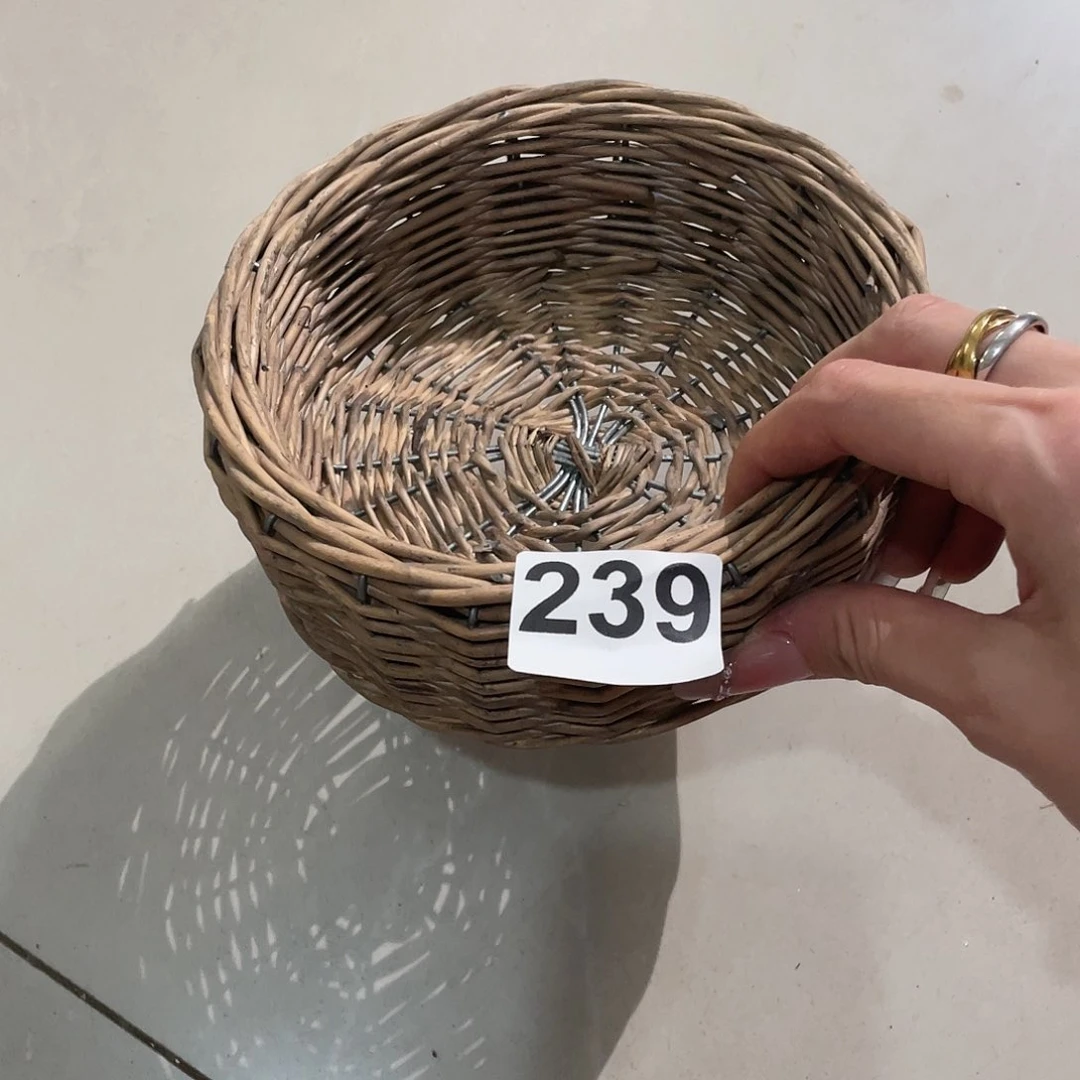 福利花盆239号一只