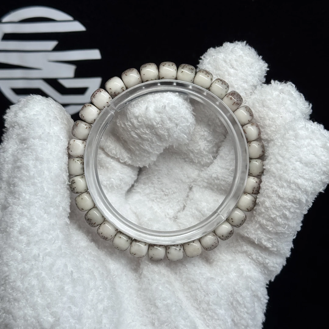 【石玉河豚款-进阶款】海南原生态 星月菩提 同枝果老料