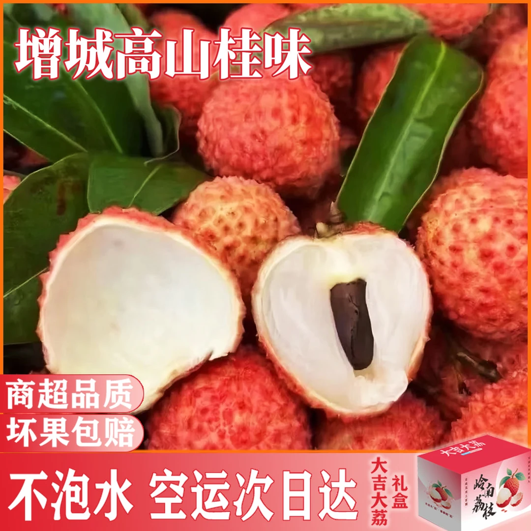【顺丰次日达】增城桂味荔枝新鲜采摘高山老树3/5/10斤产地包邮礼盒荔枝肉实核小广东省