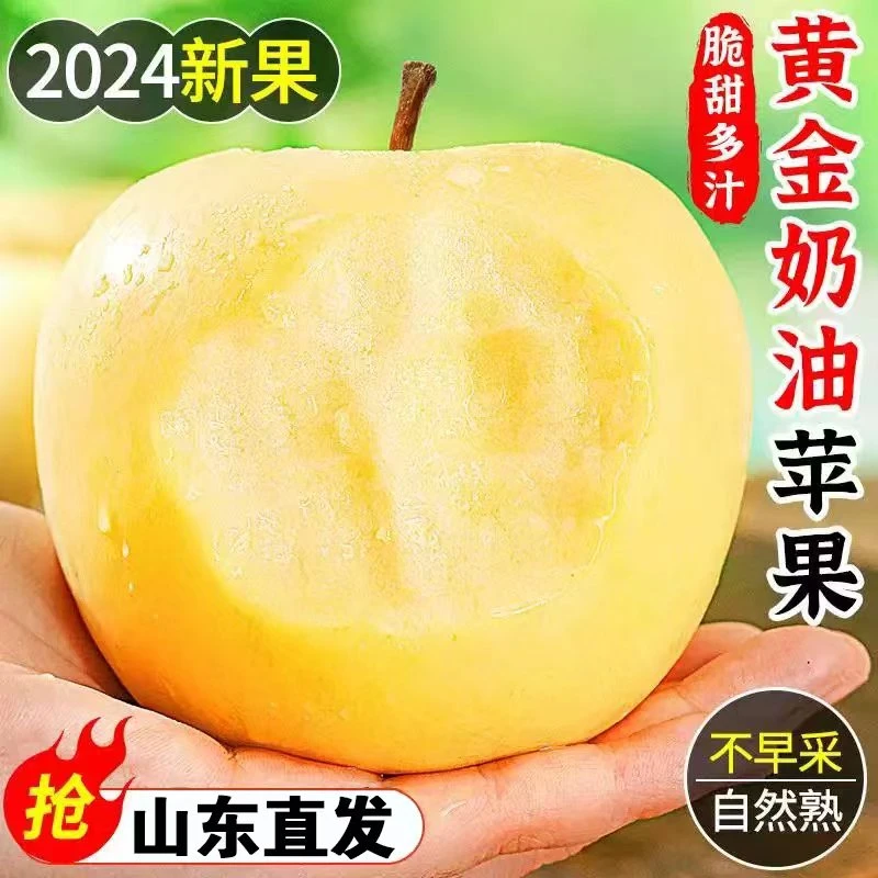 产地直发奶油富士黄金苹果山东黄金冰糖心苹果产地直发年货助农