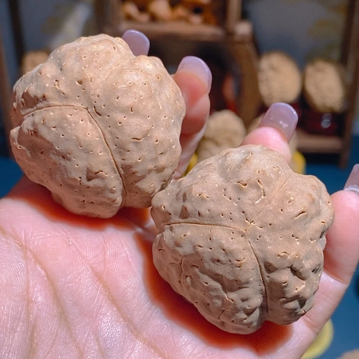 黄金南瓜金刚手球4244