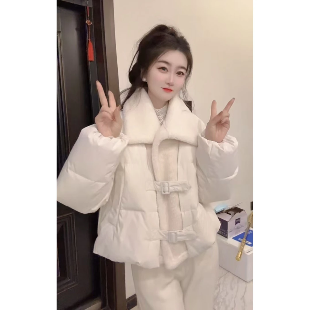 『暖系柔情Q』新款简约设计款百搭时尚款休闲羽绒服8859