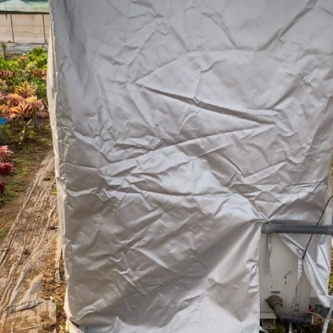 零度以下拍保温满25包邮多肉