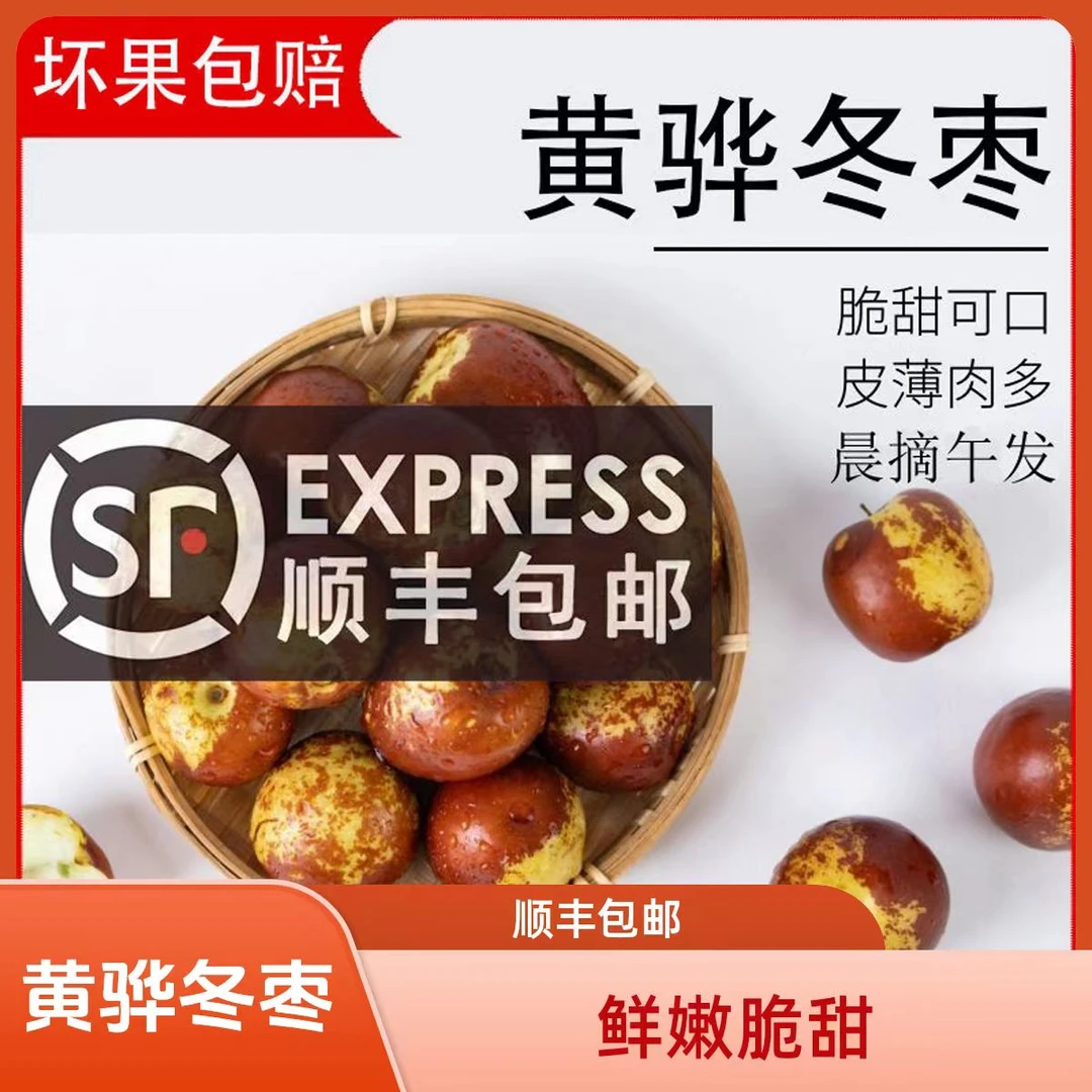 【顺丰专线】正宗黄骅冬枣贡枣应季鲜枣新鲜水果脆甜产地包邮特产