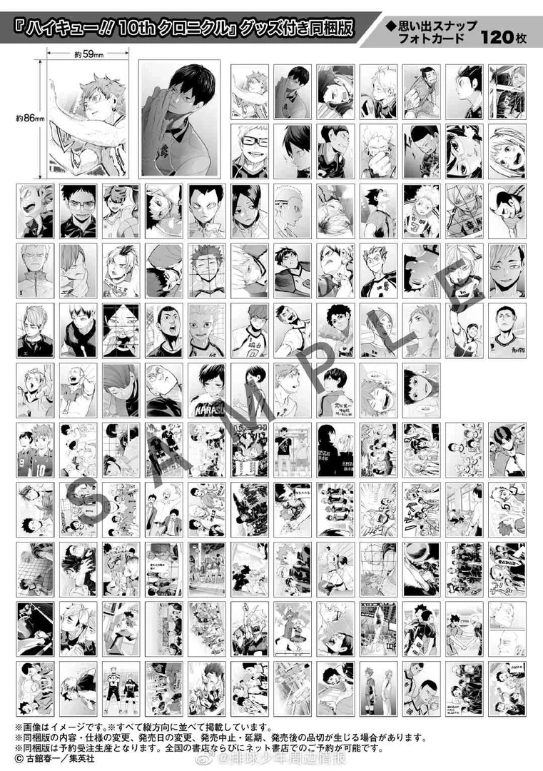 【木木】排球少年 十周年展相卡 盲盒（默认代拆）