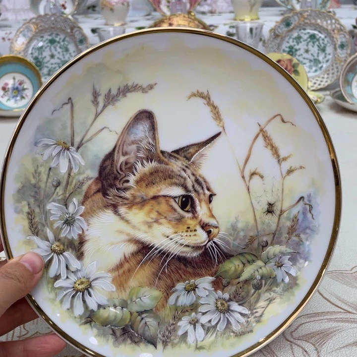 盘维多利亚欧洲中古