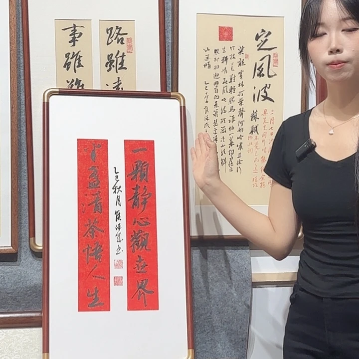 书法一颗静心观世界