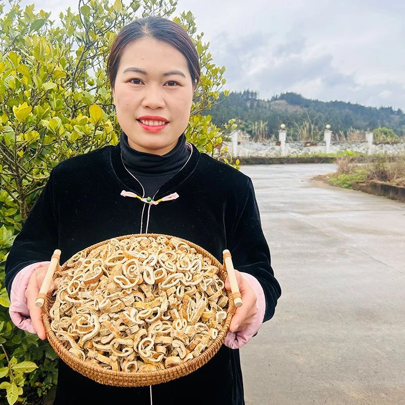 贵州深山野生桑白皮中药材桑树根野生中草药桑根皮