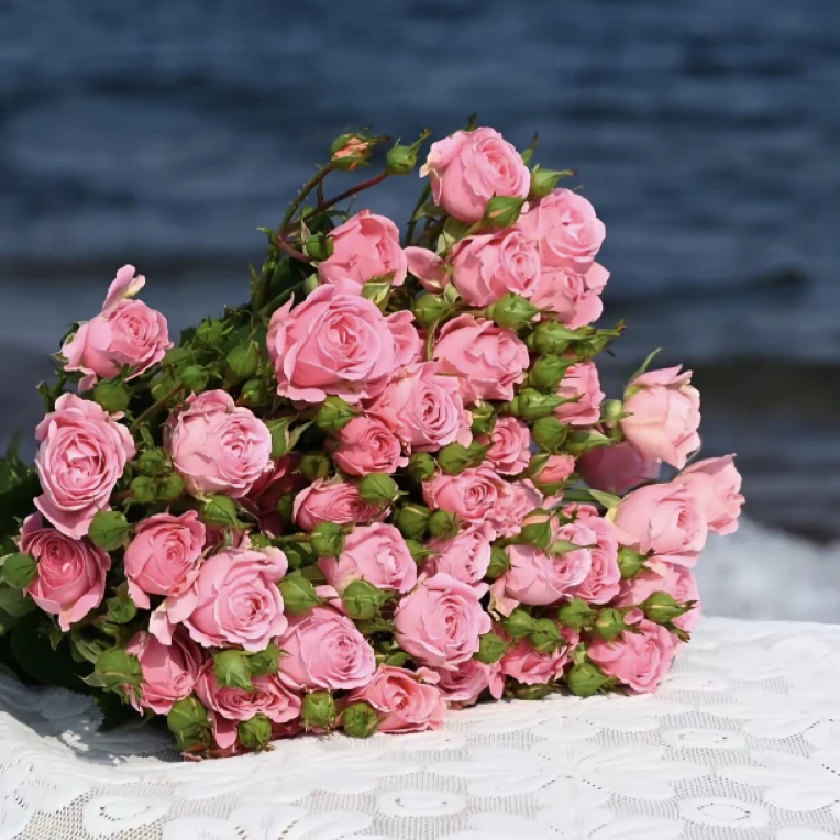 【九里花田】丽娜贝儿-基地直发-一单普通快递两单发顺丰