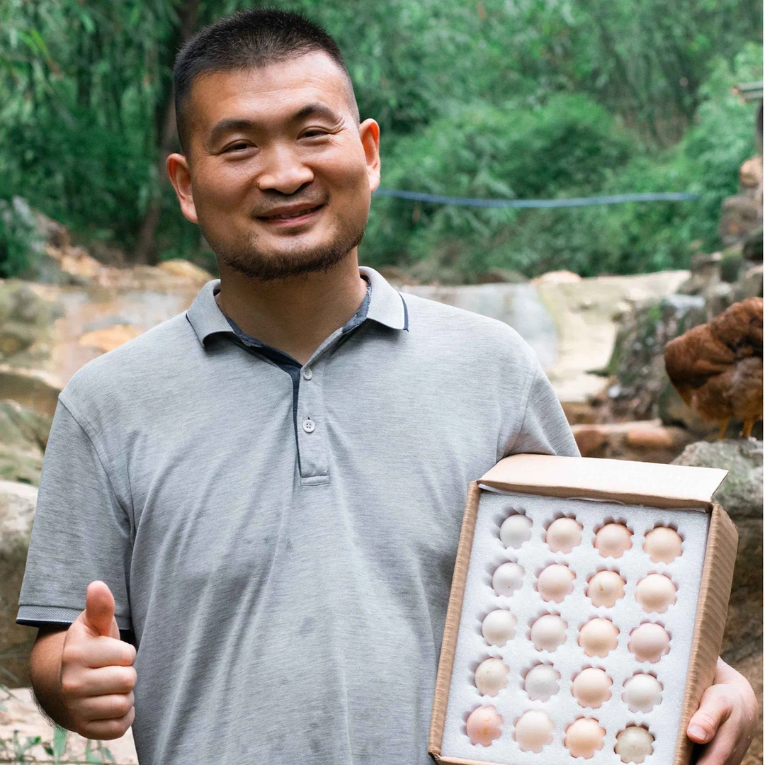 30枚/50枚广东清远麻鸡初生蛋 吃五谷杂粮当天现捡现发