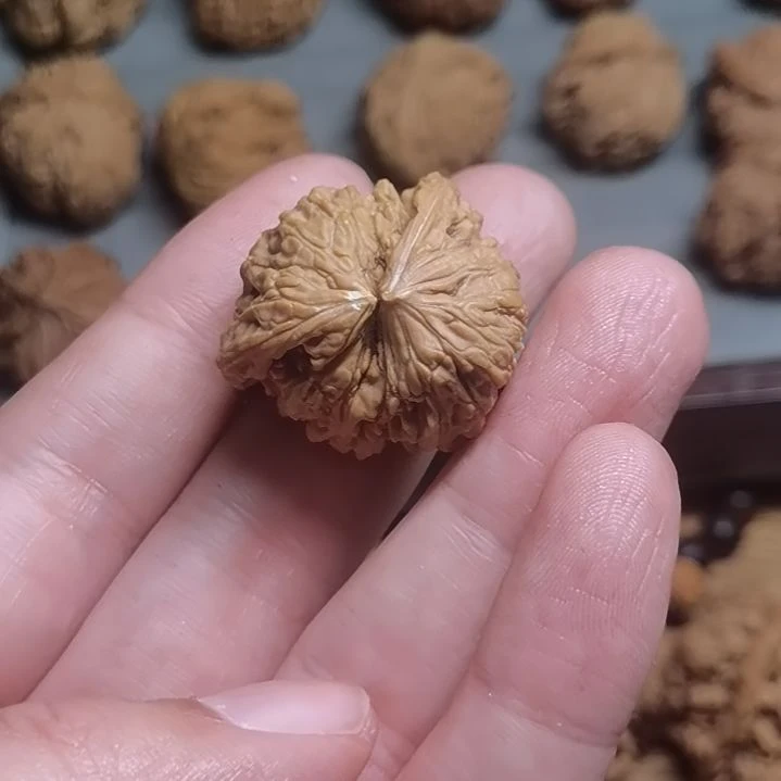 南疆小连体88888888