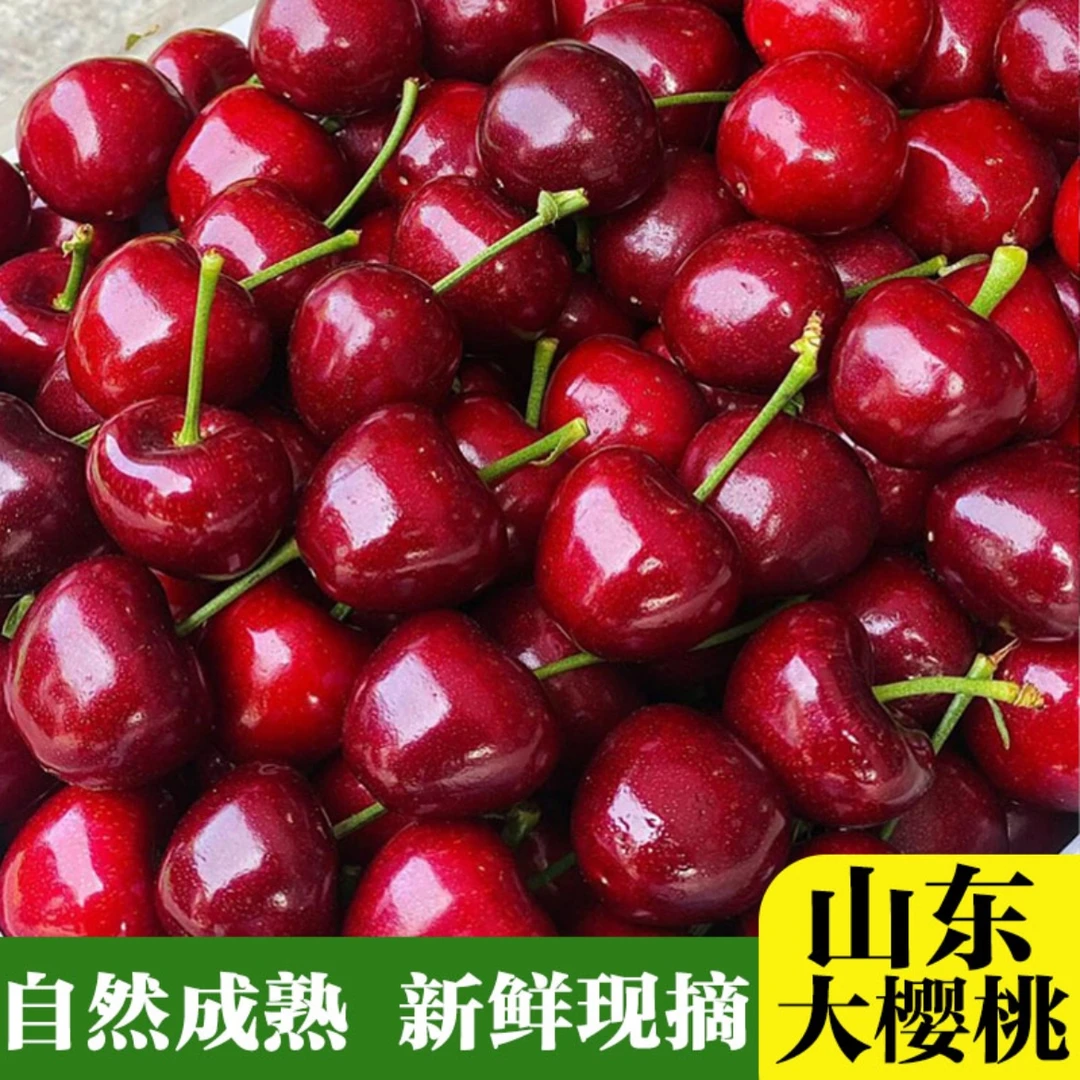 现摘 山东美早大樱桃4斤 孕妇新鲜水果J 京东顺丰空运发货
