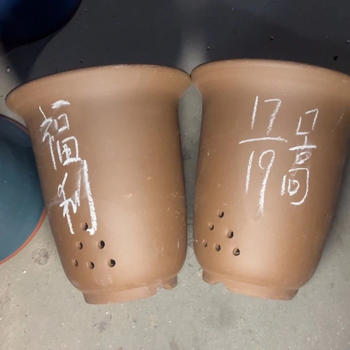 周深周深周深周深