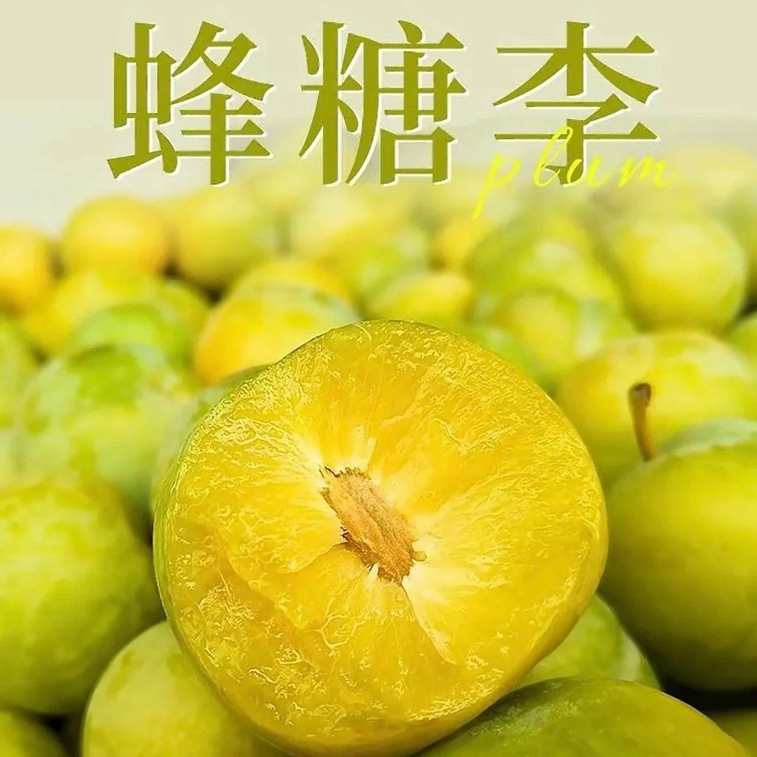 【六马蜂糖李】脆甜新鲜好吃2-4斤 脆甜当季鲜果