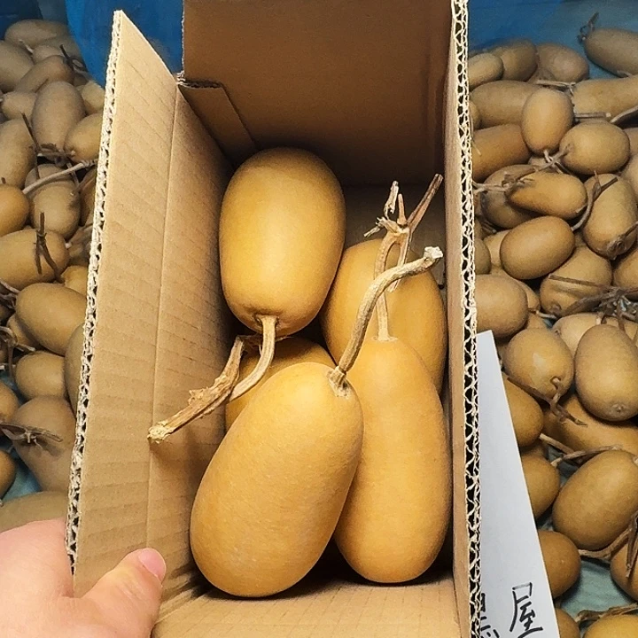 原***宝葫芦冬瓜专属链接