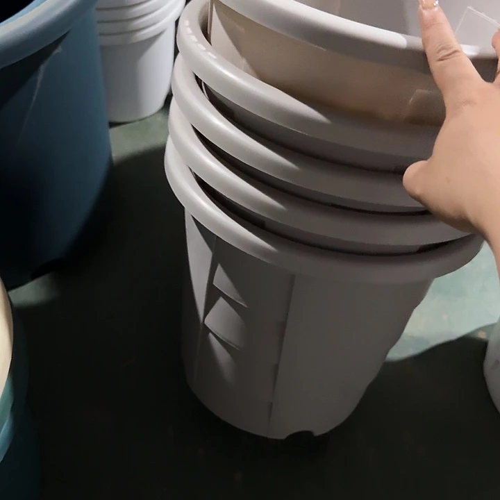 测29口径5个灰白无托微瑕