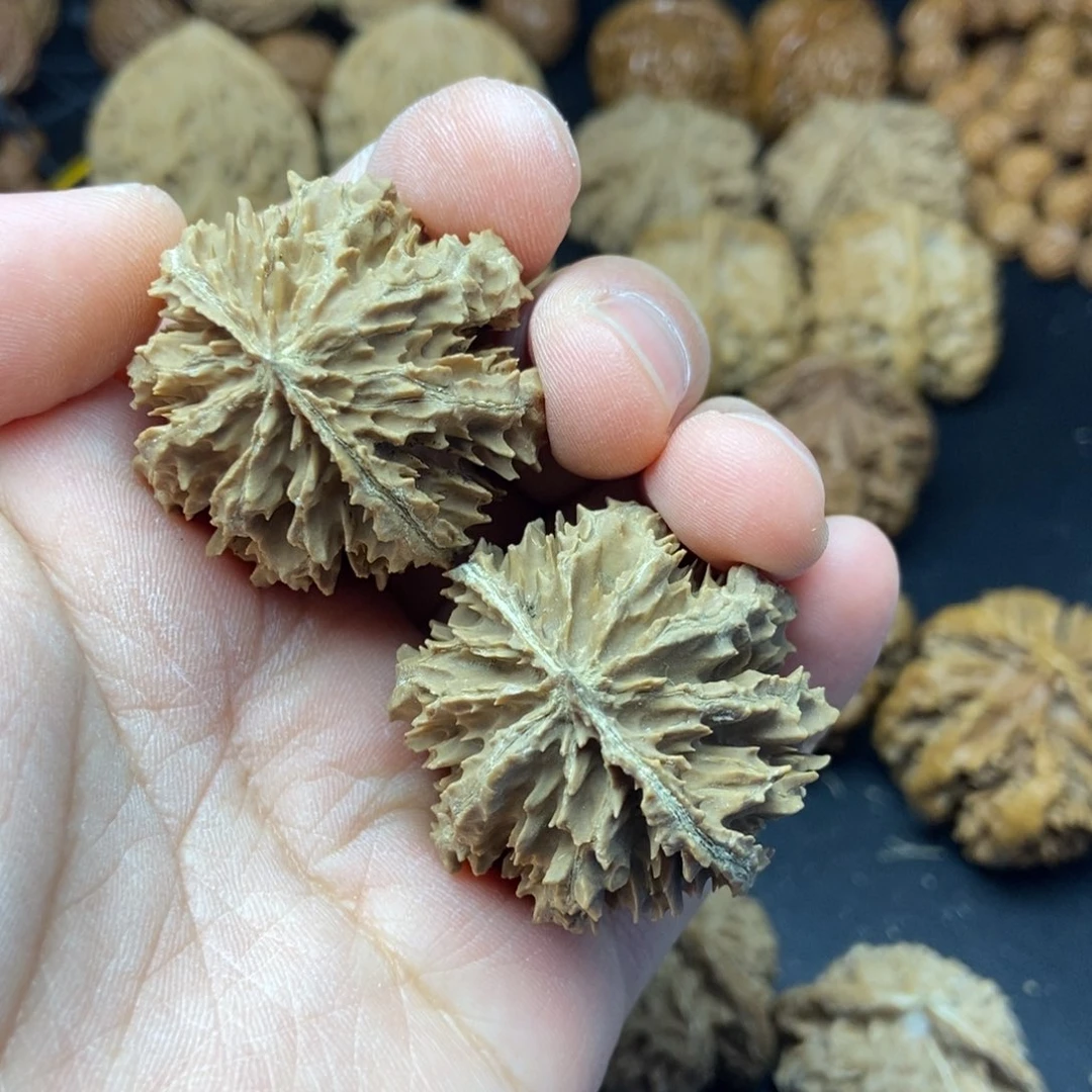 雷*风秦岭核桃野生扎手对8号链接8888