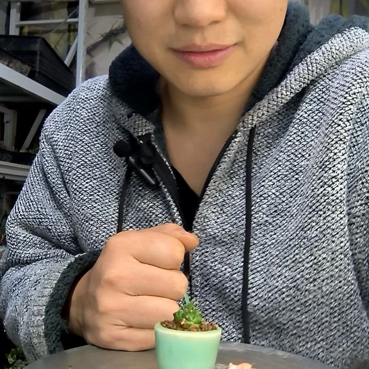 浮***梦中青园艺一物一拍花47