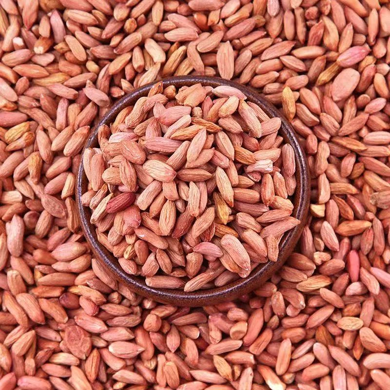 山东瘪花生米秋季新鲜小瘪子生花生秕子甘甜清香精选低油办公零食