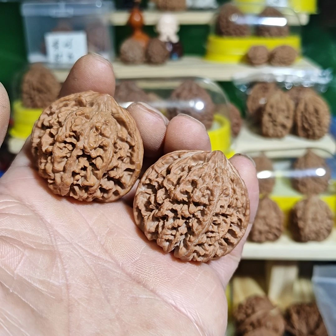 41加尺寸，满天星狮子头