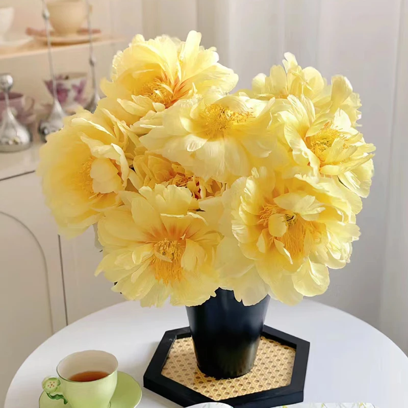 【现货直发】伊藤芭茨拉 菏泽基地牡丹芍药鲜切花大花苞重瓣粉色