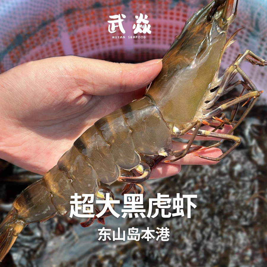 3斤【本地黑虎虾】超大每斤8-10条，3斤共25-30条 每只约20厘米