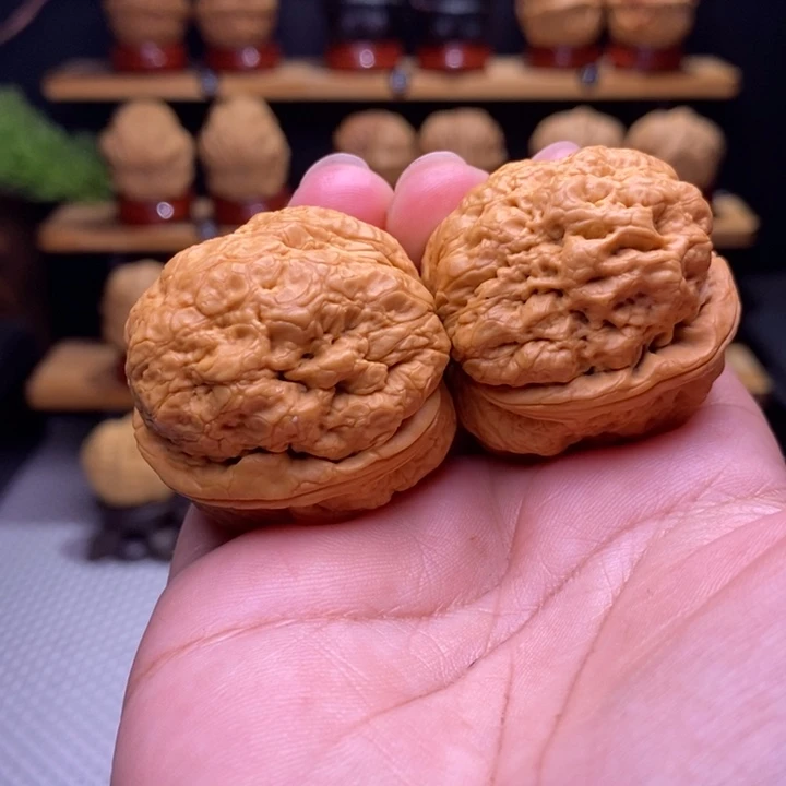 木质类云铁帝王蟾51号