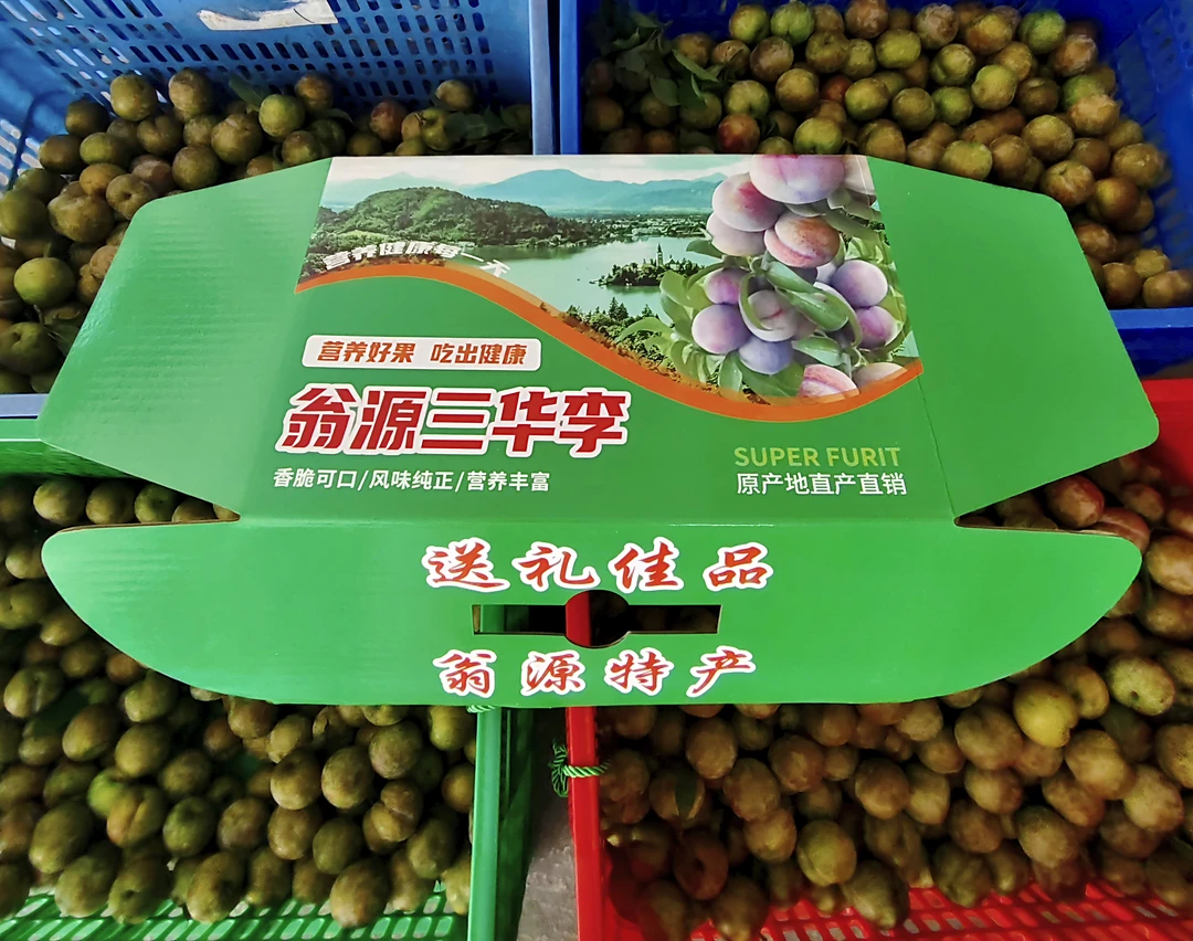 正宗翁源三华李果王礼盒装广东韶关翁源正宗鹰嘴桃